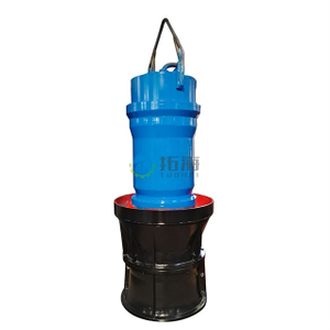 Pompa sommergibile a flusso assiale resistente alla corrosione in acciaio inossidabile per irrigazione